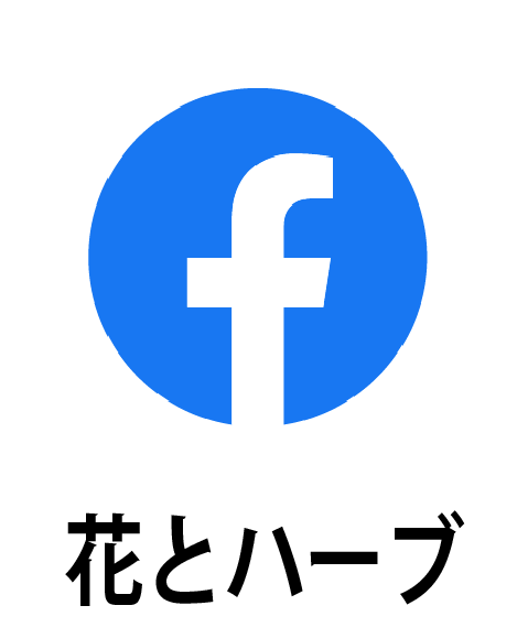 facebook花とハーブ