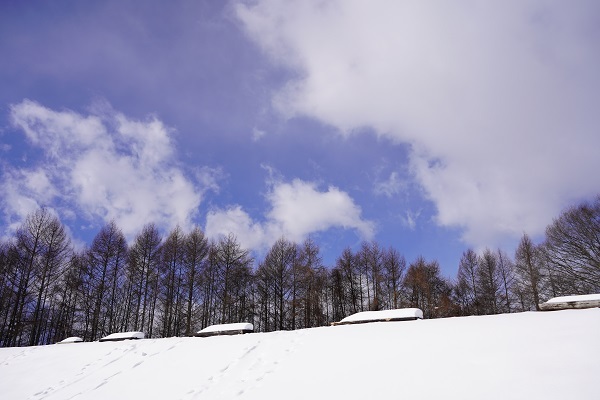 冬の大峰高原3