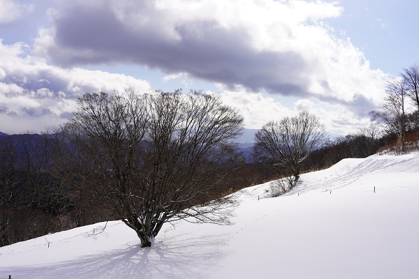 冬の大峰高原1