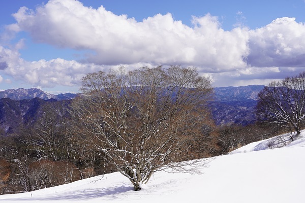 大峰高原2月-1