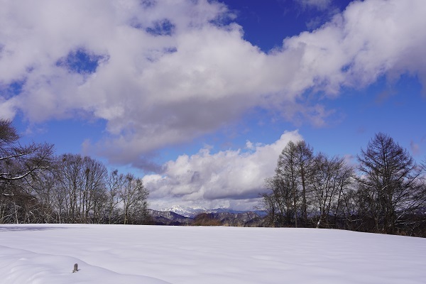 大峰高原2月-3