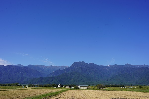 林中9月−1