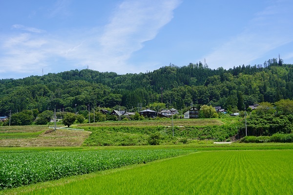 中島7月ー2