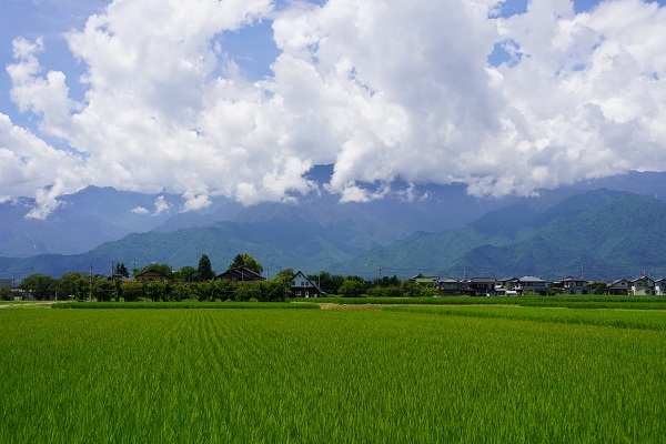 中島7月−1