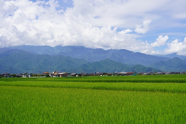 中島7月−3