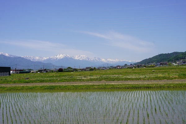 花見 5月-2