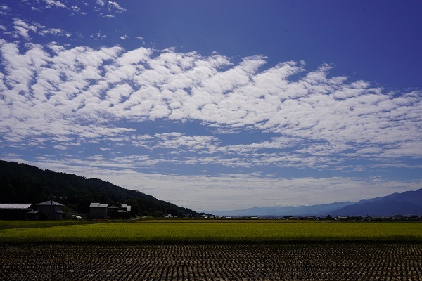 花見9月−2