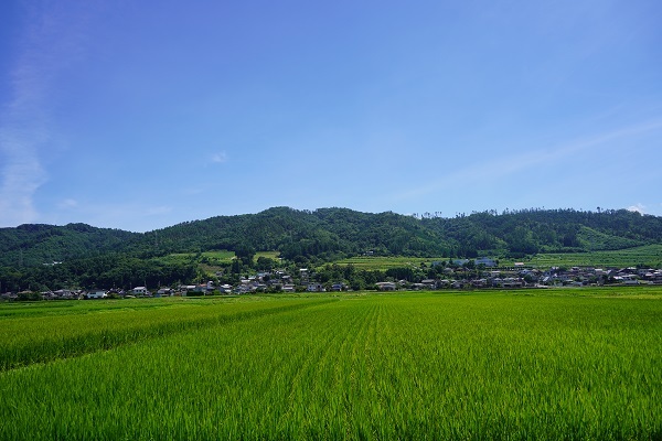 鵜山7月−1