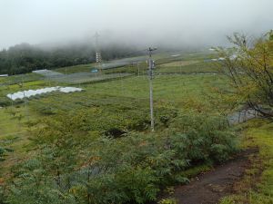 池坂やまびこ会、研修会の様子（草尾上野ブドウ団地）