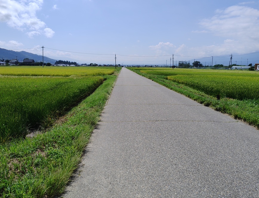 生活道路（農道）