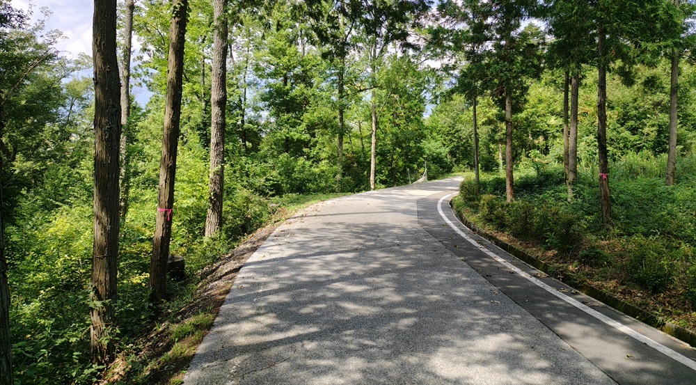 生活道路（山道）